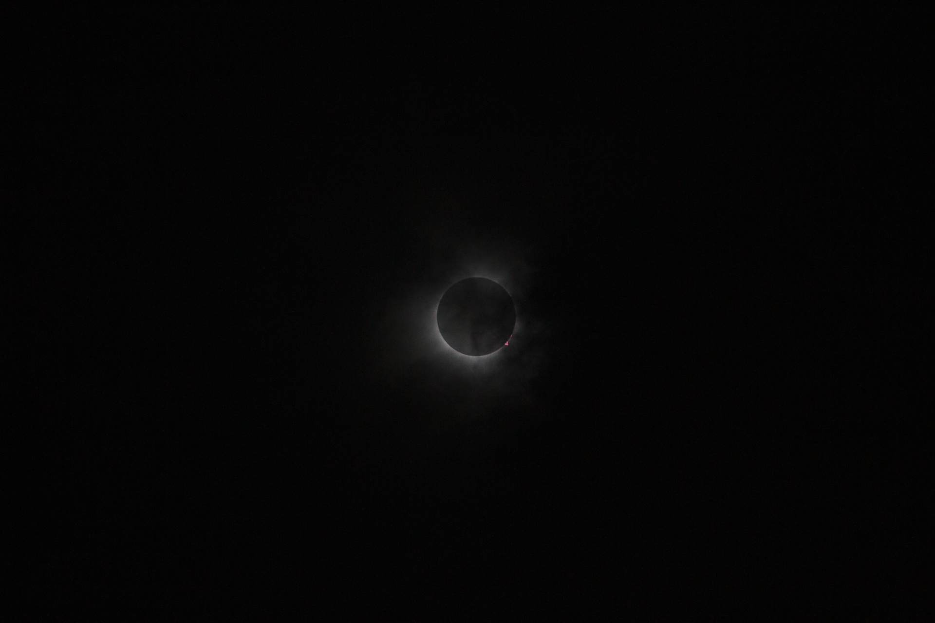 Total solar eclipse corona ring on a pitch-black sky with pink prominence